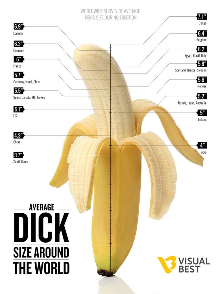 example of penis size